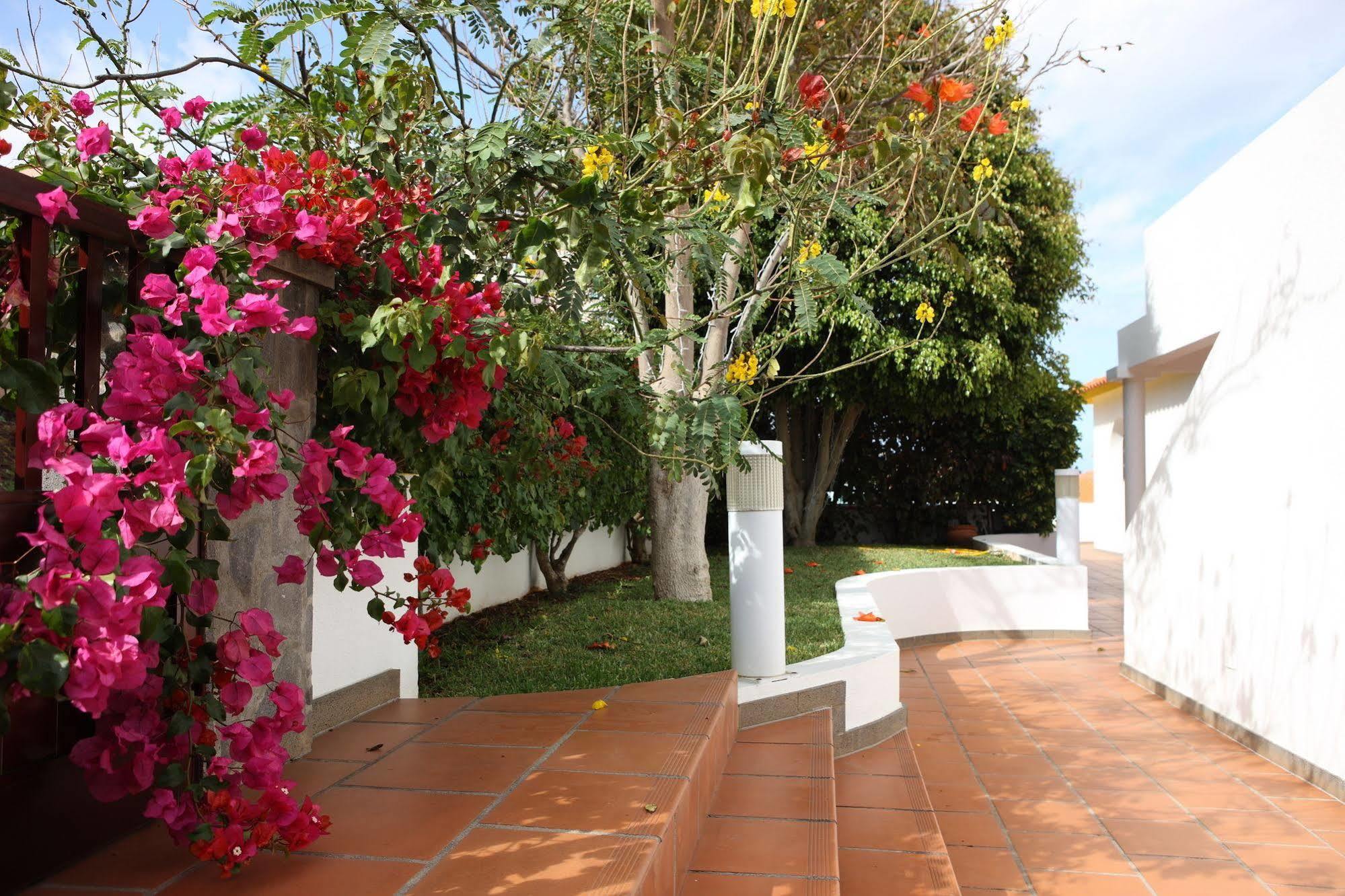 Canico Bay Apartments Extérieur photo